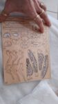 Customer_Insect Animal 3D Wooden PuzzleInsect Animal 3D Wooden Puzzle 2